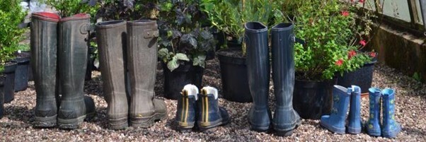 Malcolm - Hooksgreen Herbs