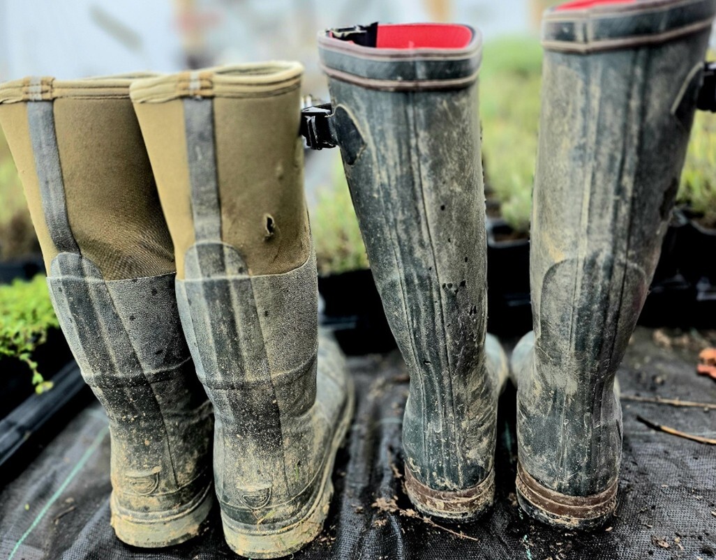 Jeff and Louisa - Hooksgreen Herbs