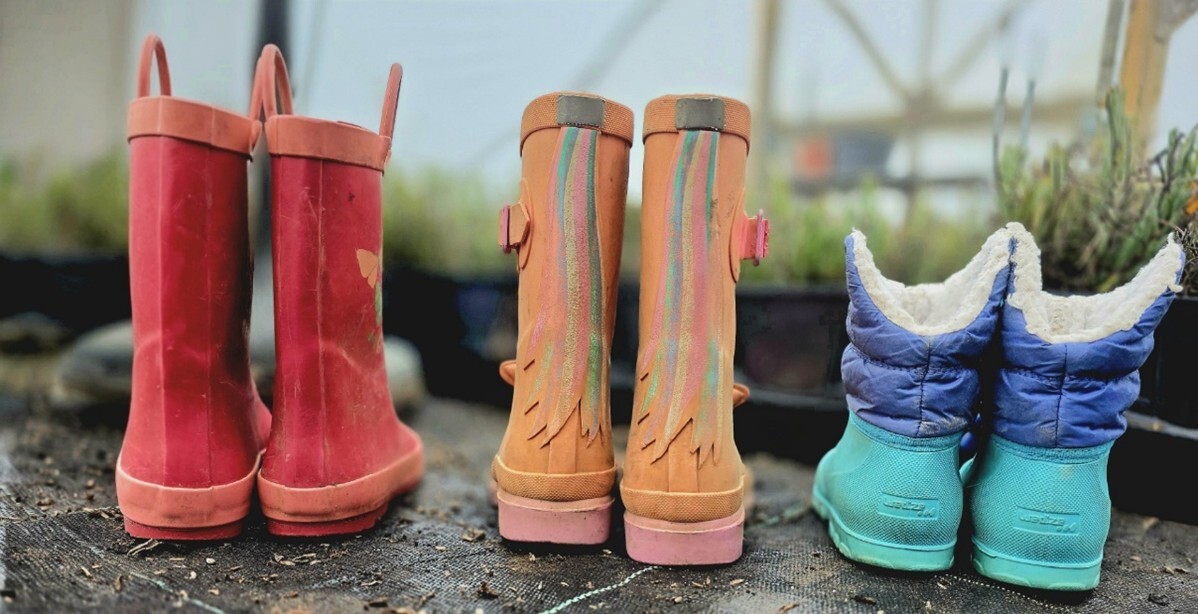 Hooksgreen Herbs Family